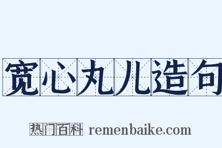 宽心丸儿造句是什么意思的图片